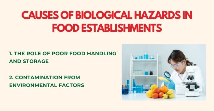Causes of Biological Hazards in Food Establishments