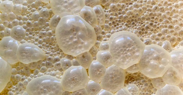 precision-fermentation-in-process