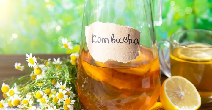 what is kombucha