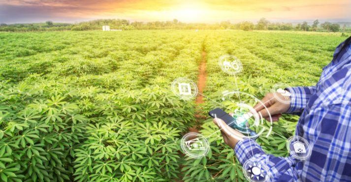 Representing-farming-innovation-with-crops-and-smart-device