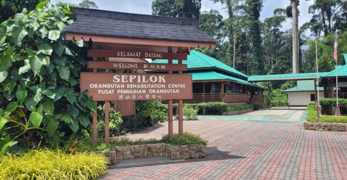 Sepilok Orangutan Rehabilitation Centre Sepilok Orangutan Rehabilitation Centre