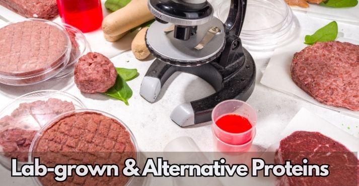 lab-grown-and-alternative-proteins lab-grown-and-alternative-proteins