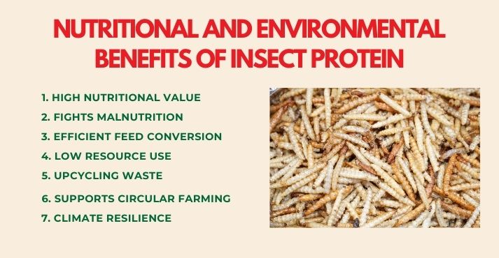 nutritional-and-environmental-benefits-of-insect-protein