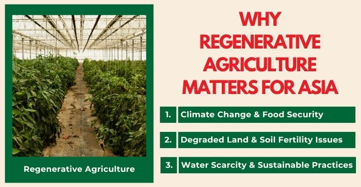 why-regerative-agriculture-matters-for-asia