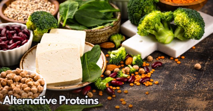 What are Alternative Proteins