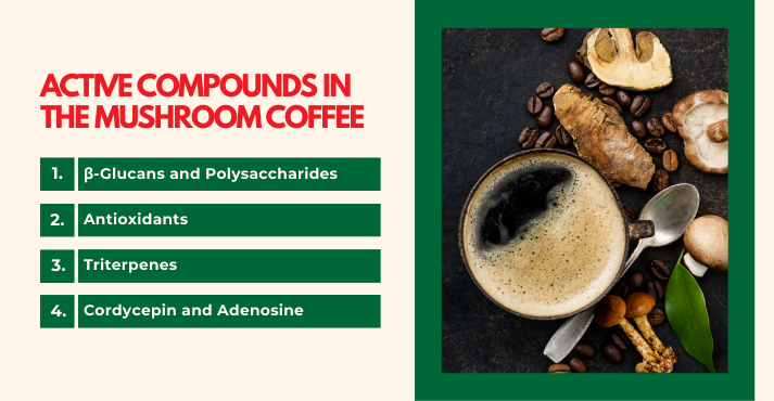 Active Compounds in mushroom coffee