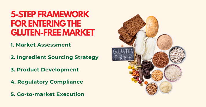 5-Step Market Entry Framework